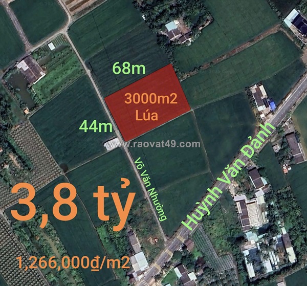 Bán đất lúa chuyển thổ xã vàm cỏ gần quốc lộ 50b giá 3,8 tỷ