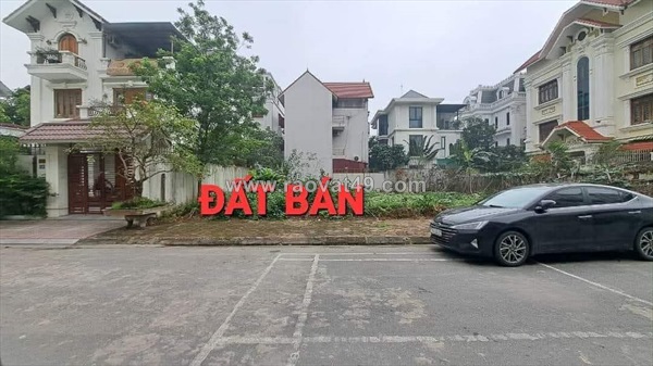 Bán đất phân lô khu 31ha trâu quỳ, 250m, mặt tiền 12.5m, đường nhựa, vỉa hè,