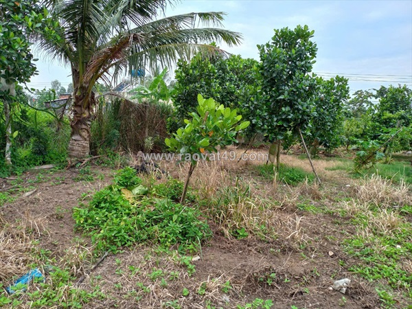 Bán đất thổ cư 1019m2 xã phước hậu, huyện long hồ, tỉnh vĩnh long.