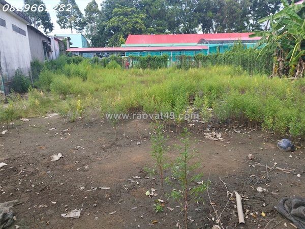 Bán đất thổ cư 547m2 sổ hồng đường 848, tân khánh đông, sa đéc. hướng đông nam.