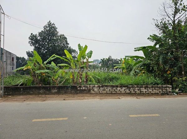 Bán đất thổ cư sẵn sổ full tiện ích duy nhất tại lục quân-cổ đông-sơn tây