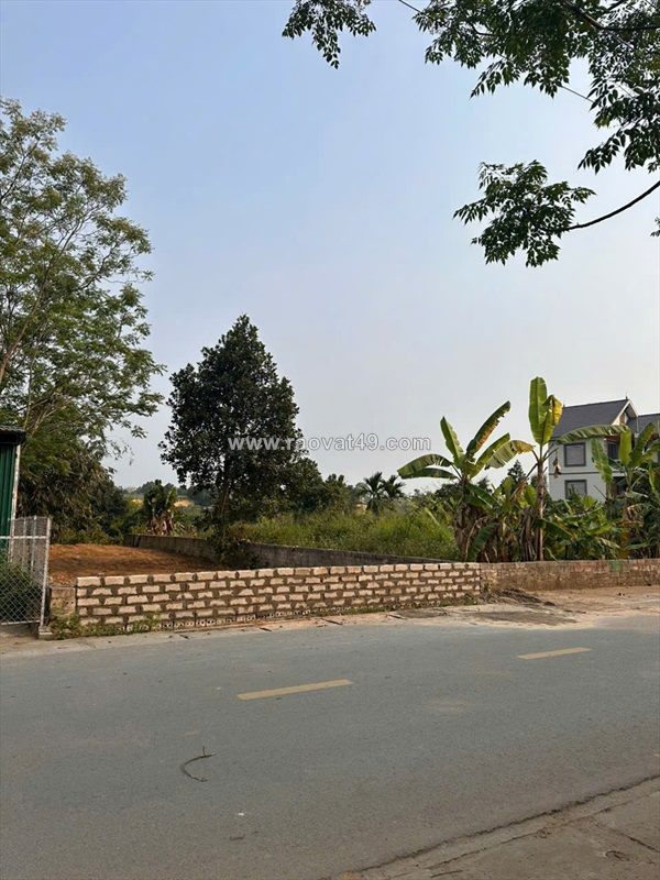 Bán đất thổ cư sẵn sổ full tiện ích duy nhất tại lục quân-cổ đông-sơn tây