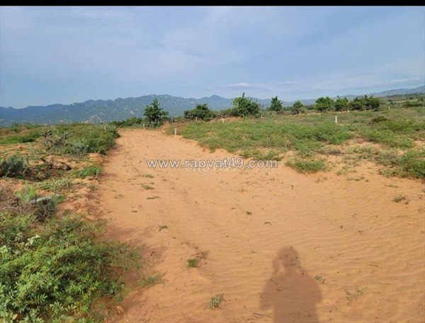 Bán đất ven biển – giá tốt đầu tư nghỉ dưỡng & sinh lời xã phước định, thuận nam