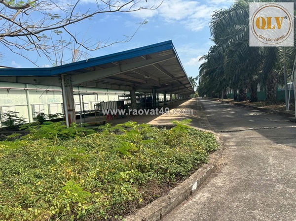 Bán nhà xưởng kcn mỹ xuân vũng tàu 21.439m²