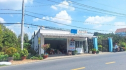 Bán nhanh đất, mặt tiền tỉnh lộ 15,an nhơn tây, củ chi 00m2, chỉ 35 tỷ