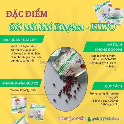 Bảo vệ trái cây khi vận chuyển xa có nên dùng gói hút khí ethylene etipo?