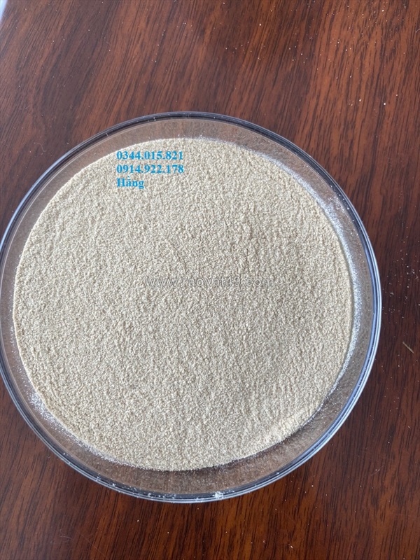Betaglucan yeast cell wall, tăng cường hệ miễn dịch cho vật nuôi