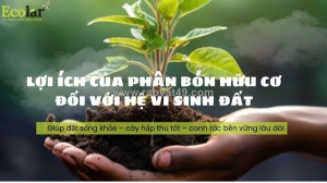 Bí mật phục hồi sức sống cho đất: lợi ích của phân bón hữu cơ đối với hệ vi sinh vật