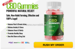Bliss harmony 300mg cbd review 2026 – honest