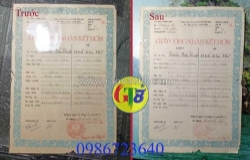 Bóc ép plastic - giải pháp hiệu quả, tiện lợi và an toàn, đáp ứng nhu cầu bảo quản