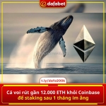 Cá voi “thức giấc” sau 1 tháng im ắng 👀