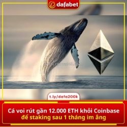 Cá voi “thức giấc” sau 1 tháng im ắng 👀