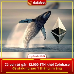 Cá voi “thức giấc” sau 1 tháng im ắng 👀