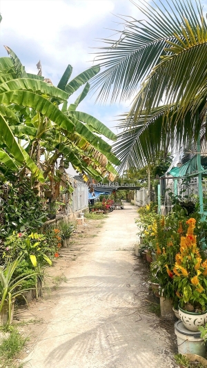 Cần bán 250m2 đất thổ cư hẻm ba gác gần ql1a