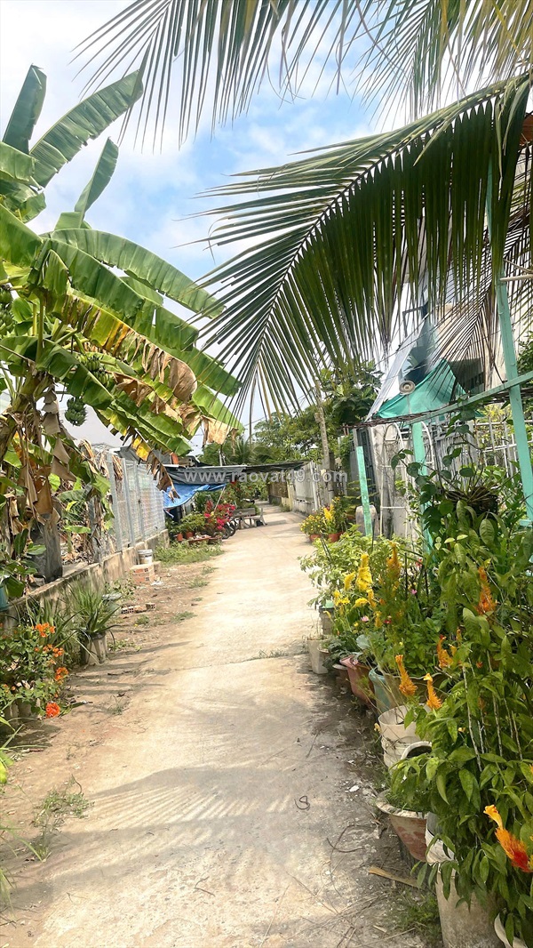 Cần bán 250m2 đất thổ cư hẻm ba gác gần ql1a
