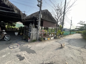 Cần bán gấp lô đất tổng 1000m² tách 4 lô thổ cư long hậu cần giuộc.