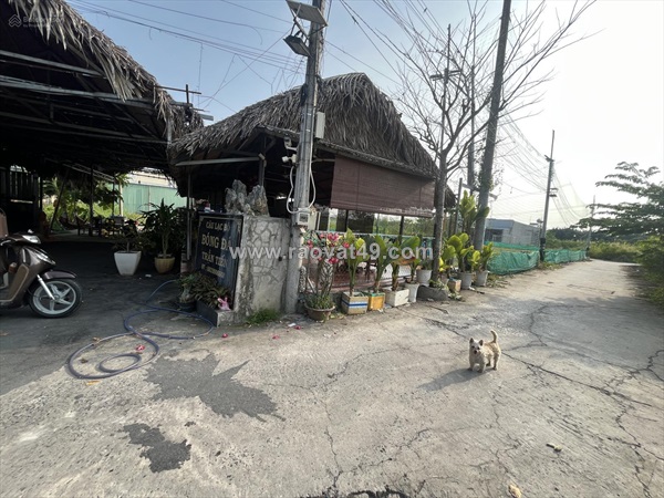 Cần bán gấp lô đất tổng 1000m² tách 4 lô thổ cư long hậu cần giuộc.