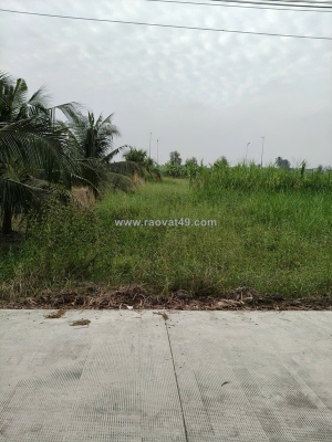 Cần bán lô đất thổ cư mặt tiền đường đan bờ kênh n3, phường tân khánh, thành