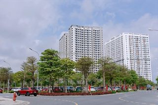 Căn hiếm fpt plaza 3 – 2pn tầng cao, ban công bắc mát mẻ – giá tốt 2,9 tỷ