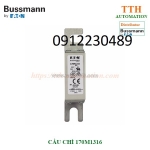 Cầu chì bussmann 170m1316 thuộc nhóm gr – bảo vệ quá tải và ngắn mạch
