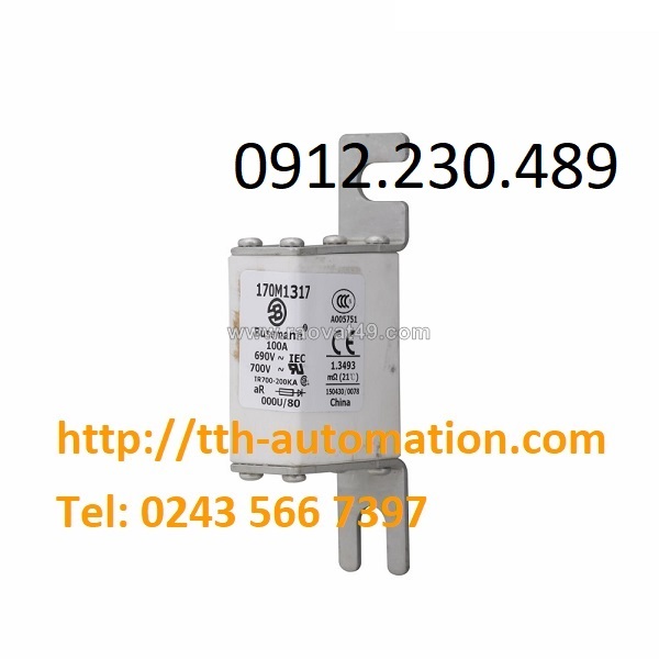 Cầu chì bussmann 170m1317