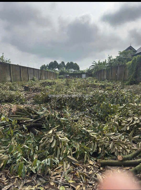 Chính chủ bán 300m2 đất tại xã phú bình, huyện tân phú, đồng nai