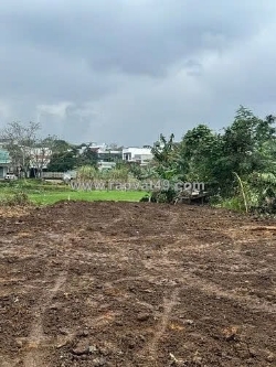 Chính chủ bán đất hoà thọ tây 204 m2 (gần tôn đản nối dài) hòa thọ tây, cẩm lệ, đà nẵng