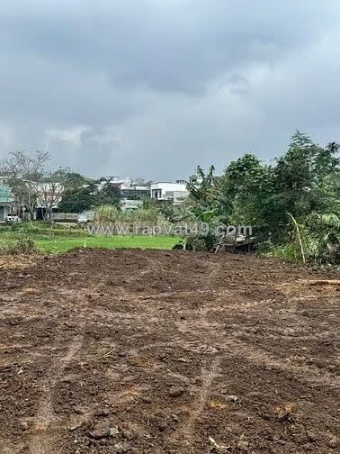 Chính chủ bán đất hoà thọ tây 204 m2 (gần tôn đản nối dài) hòa thọ tây, cẩm lệ, đà nẵng