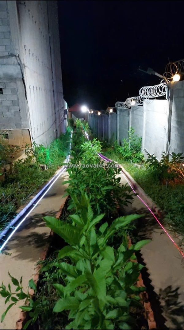 Chính chủ bán nhà đất có sẵn nhà yến diện tích 1249m² tại nam cát tiên, tân phú, đồng nai