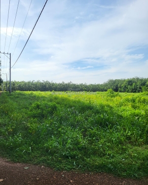 Chính chủ bán nhanh lô đất 1,4ha ngay ngã 3 trị an-vĩnh cửu