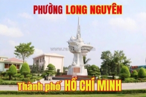 Chính chủ cần bán đất nền – phường long nguyên, tp. hồ chí minh