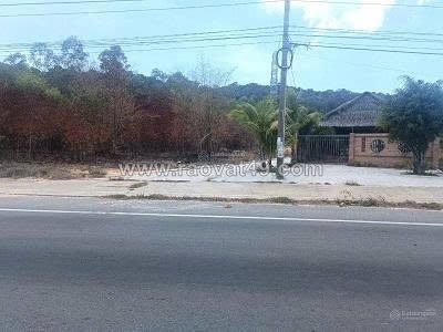 Chính chủ hạ giá bán gấp 827m2 đất sẵn sổ mặt tiền tt suối lớn- dương tơ