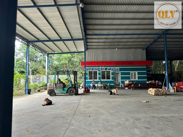 Cho thuê đất & nhà xưởng hớn quản, bình phước 5.000m²