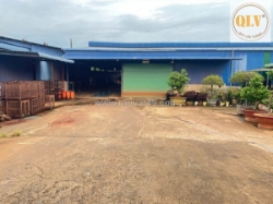 Cho thuê nhà xưởng đồng phú, bp 10.000m²
