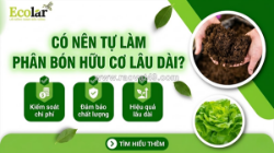Có nên tự làm phân bón hữu cơ lâu dài không? đánh giá lợi hại và khung quyết định thực tế