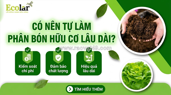 Có nên tự làm phân bón hữu cơ lâu dài không? đánh giá lợi hại và khung quyết định thực tế