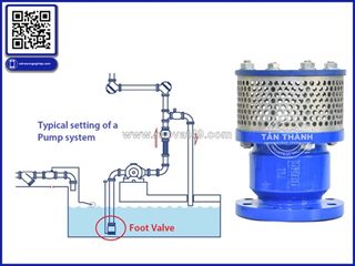 Đánh giá rọ bơm foot valve tại công ty van công nghiệp tân thành – góc nhìn chuyên gia