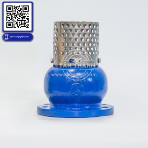 Đánh giá rọ bơm gang nối bích pn16 joeun – giải pháp bảo vệ máy bơm hiệu quả