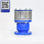 Đánh giá rọ bơm pn16 gang đúc joeun – giải pháp bảo vệ máy bơm hiệu quả cho hệ thống công nghiệp