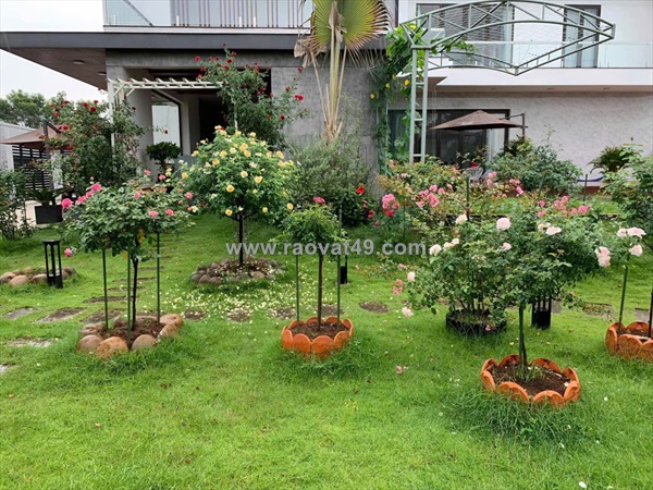 Đất  đẹp- giá tốt- cần bán nhanh đất tại , xã long thọ, nhơn trạch, đồng nai
