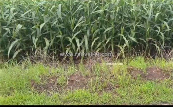 Đất đẹp – giá tốt - chính chủ bán đất  xã lang minh, huyện xuân lộc, đồng nai