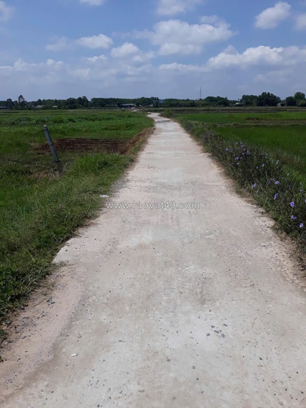 Đất đẹp- giá tốt chính chủ bán nhanh lô đất tiềm năng tại huyện củ chi, tphcm