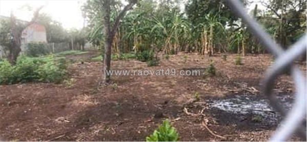 Đất đẹp – giá tốt  – chính chủ cần bán gấp tại xã bàu cạn, huyện long thành,