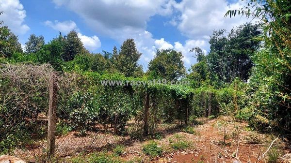 Đất đẹp – giá tốt  – chính chủ cần bán gấp tại xã hòa long, tp bà rịa, tỉnh bà