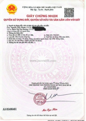 Đất đẹp – giá tốt  – chính chủ cần bán gấp tại xã tân nhựt, huyện bình chánh,