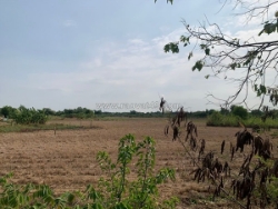 Đất mặt tiền - hưng long, đa phước, bình chánh 15000m² chỉ  70 tỷ,