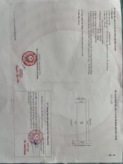 Đầu năm mở lộc – cơ hội sở hữu đất đẹp