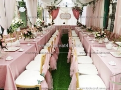 Địa chỉ chuyên dịch vụ cho thuê bàn ghế đám cưới với nhiều mẫu mã và kiểu dáng đa dạng
