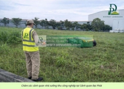 Dịch vụ cắt cỏ – vệ sinh cảnh quan kcn amata, kcn biên hòa đồng nai