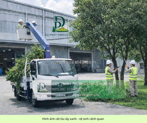 Dịch vụ cắt tỉa cây xanh nhà xưởng – khu công nghiệp đồng nai, tp.hcm, bình dương, long an